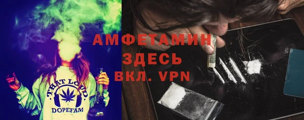 прущая мука Вяземский