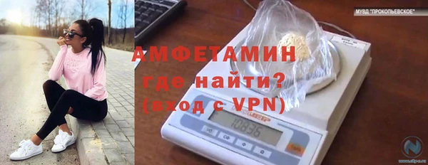 прущая мука Вяземский