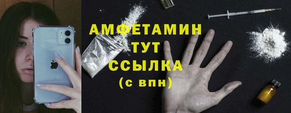 прущая мука Вяземский