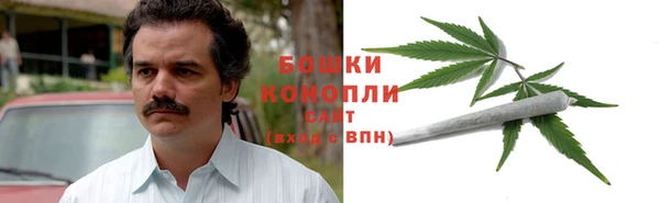 прущая мука Вяземский