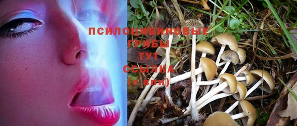 метадон Вязьма
