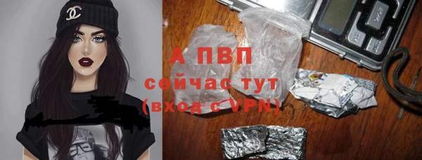 прущая мука Вяземский